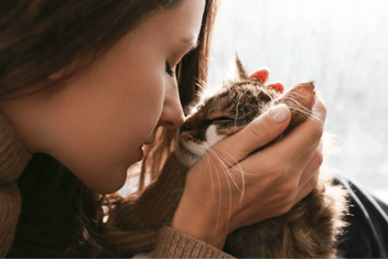 Pet Euthanasia: It's Okay to Die on a Good Day